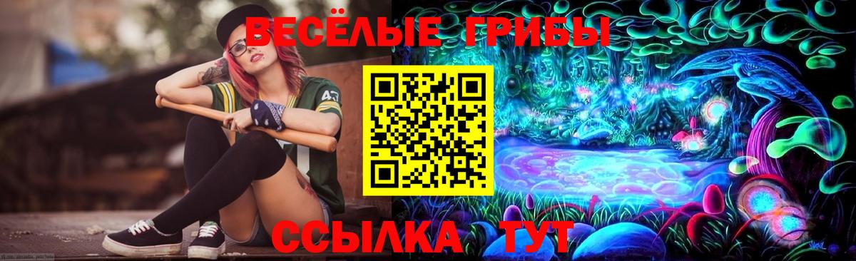 Псилоцибиновые грибы Cubensis Жуковский